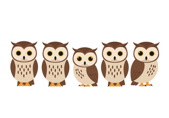 Five cartoon owls stand sidebyside varying slightly in color  pose