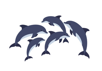 Five gray and white dolphins arranged in a group facing in various directions