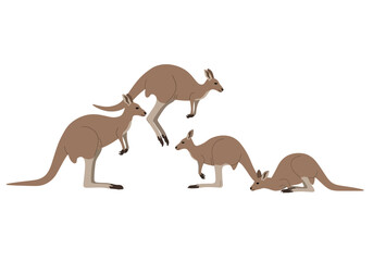 Four kangaroos are depicted in a simple illustrative style on a white background