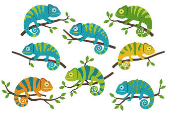 Seven colorful cartoon chameleons are perched on branches against a white background