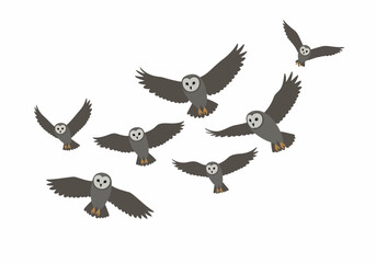 Seven gray owls are in midflight wings outstretched against a plain white backdrop