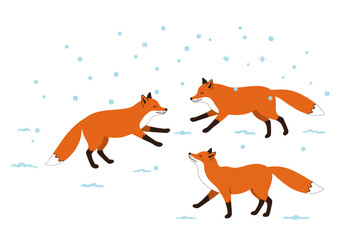 Three orange foxes play in snow under falling snowflakes on a white background
