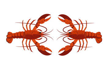 Two mirrored red lobsters face each other with claws raised