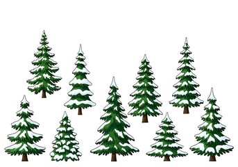 Obraz premium Evergreen forest with freshly fallen snow, holiday season nature drawing