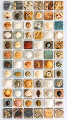 Mosaic of seashells & stones
