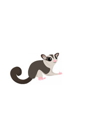 Cute Sugar Glider Vector.ai