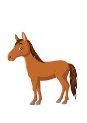 Cartoon Horse Illustration.ai