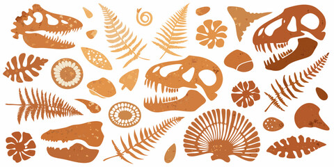 Collection of dinosaur skulls ferns and fossilized shells in earthy tones