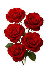 Crimson Rose Bouquet high quality realistic image.