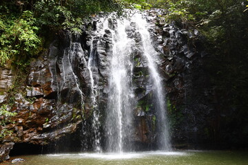 Obraz premium waterfall in the forest 2