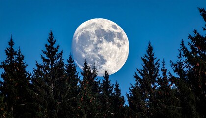 Full moon over forest (1)