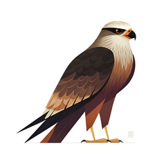 Fototapeta premium Cartoon Style Black Kite Isolated on Transparent Background