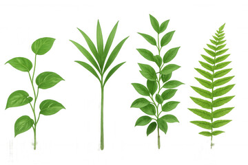 Naklejka premium Different green foliage branches and leaves set with various botanical elements on a transparent background
