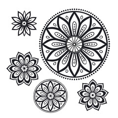 Assortment of Black Floral Mandalas and Circular Patterns