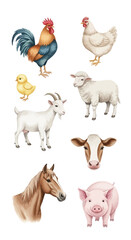 Obraz premium Charming Watercolor Farm Animal Collection Isolated on White, Perfect for Various Rustic Designs and Projects