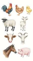 Fototapeta premium Charming watercolor farm animal collection featuring a variety of livestock illustrations