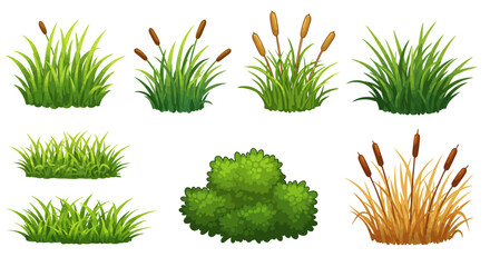 Illustration of various types of grass and reeds, including green clumps and brown cattails, arranged in a set of different shapes.