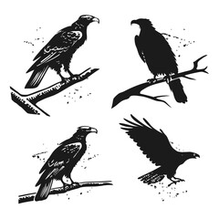 Four Silhouette Eagles Perched on Textured Branches Keywords: eagle, bird, silhouette, perched