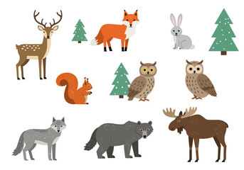 Cartoon woodland creatures with trees deer fox rabbit owls squirrel wolf bear and moose