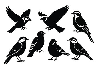 Obraz premium Vector illustration of illustration of collection of bird silhouettes
