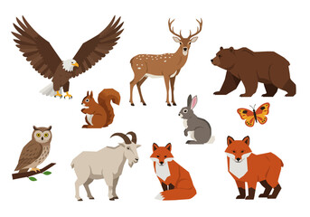 The image shows a collection of diverse wildlife illustrations