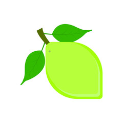 Fresh Green Lemon with Leaves – Vector Fruit Illustration