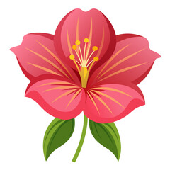  oenothera macrocarpa nutt flower vector on white