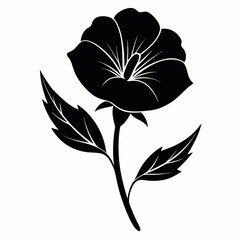 oenothera macrocarpa nut flower silhouette vector on white