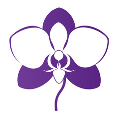 orchid white flower silhouette vector on white