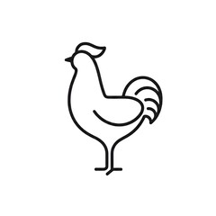 Fototapeta premium rooster isolated on white background