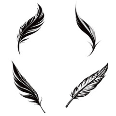 Obraz premium Four detailed black feathers are artistically arranged in a circular pattern, showcasing their graceful shapes and textures. These feathers can enhance various creative projects.