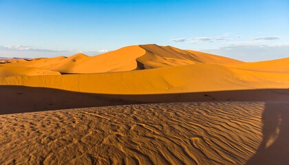 Golden dunes bathed in sunset light