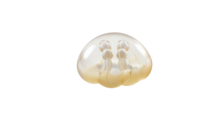 Abstract Glass Sculpture, Translucent Orb, Studio Shot, Minimalist Art, Modern Design, Decorative Object, Contemporary Art, Home Decor, Interior Design, Elegant Art, Light and Shadow, Glass Art,