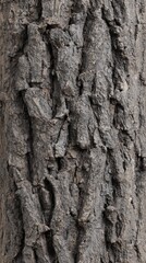 Fototapeta premium The rough texture of a mature tree trunk is displayed in extreme detail, highlighting the intricate patterns and ridges of its bark surface.