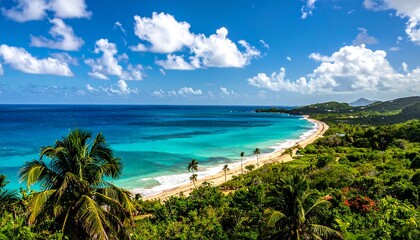 Tropical beach vista