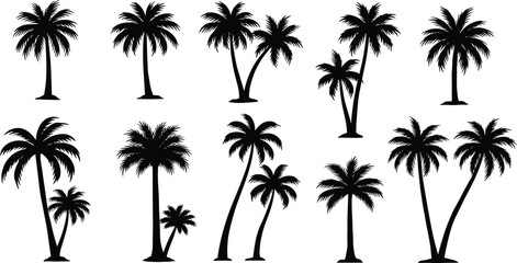 Palm tree silhouette collection, tropical beach plant vector, exotic nature illustration, summer holiday design, coconut tree graphic, paradise island artwork