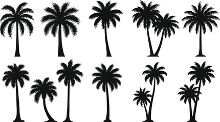 Palm tree silhouette vector collection, tropical beach coconut tree design, exotic summer island landscape, paradise holiday illustration, nature palm graphic artwork