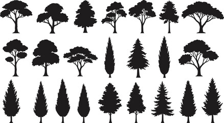 Tree silhouette vector collection, forest tree shapes, pine cedar oak maple design, eco nature element, natural foliage illustration, landscape bundle
