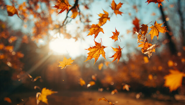 逆光で縁取られた葉脈のディテールと柔らかな被写界深度が印象的で見出しの可読性を損なわずポスターやLPのヒーローイメージに使いやすい秋の背景.生成AI