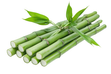 Fototapeta premium Fresh green asparagus stalks tied together isolated on transparent background. Green bamboo stalks and leaves isolated on white background.