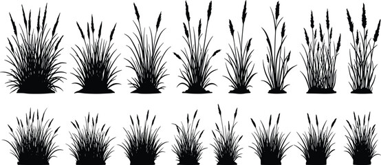 Wild grass plant silhouette collection, natural weed vector set, black meadow foliage border, rural nature element, organic landscape decoration design
