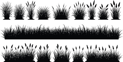 Wild grass silhouette vector collection, natural plant border design, black meadow weed illustration, rural landscape element, organic foliage graphic decoration