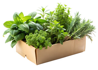 paper box with herbs png image on transparent background