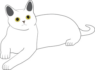 white cat vector icon illustration