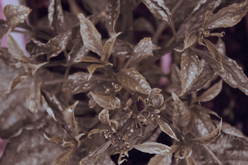 Bright and Colorful Scenery Stunning Visual Art