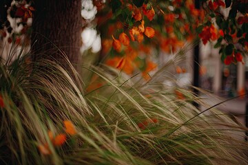 Autumnal foliage drapes around a tree trunk