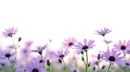 A delicate border of purple flowers with soft focus. A beautiful and serene design for spring, nature, and minimalist themes. Generative Ai.