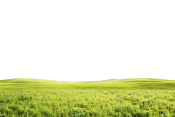 Rolling green grass hills isolated on transparent background. Picturesque agricultural field panoramic view isolated on white background.