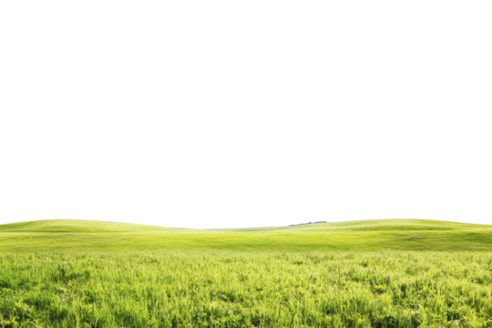 Rolling green grass hills isolated on transparent background. Picturesque agricultural field panoramic view isolated on white background.