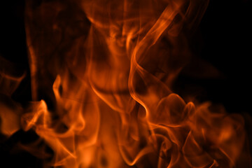 Fire flame. Burn lights on a black background.